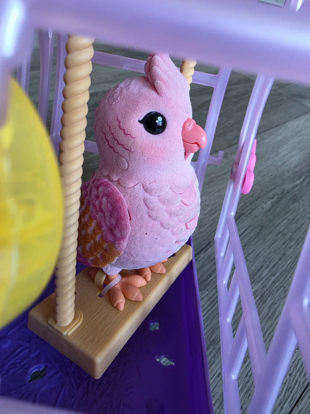 Pink Bird in Purple Play Cage